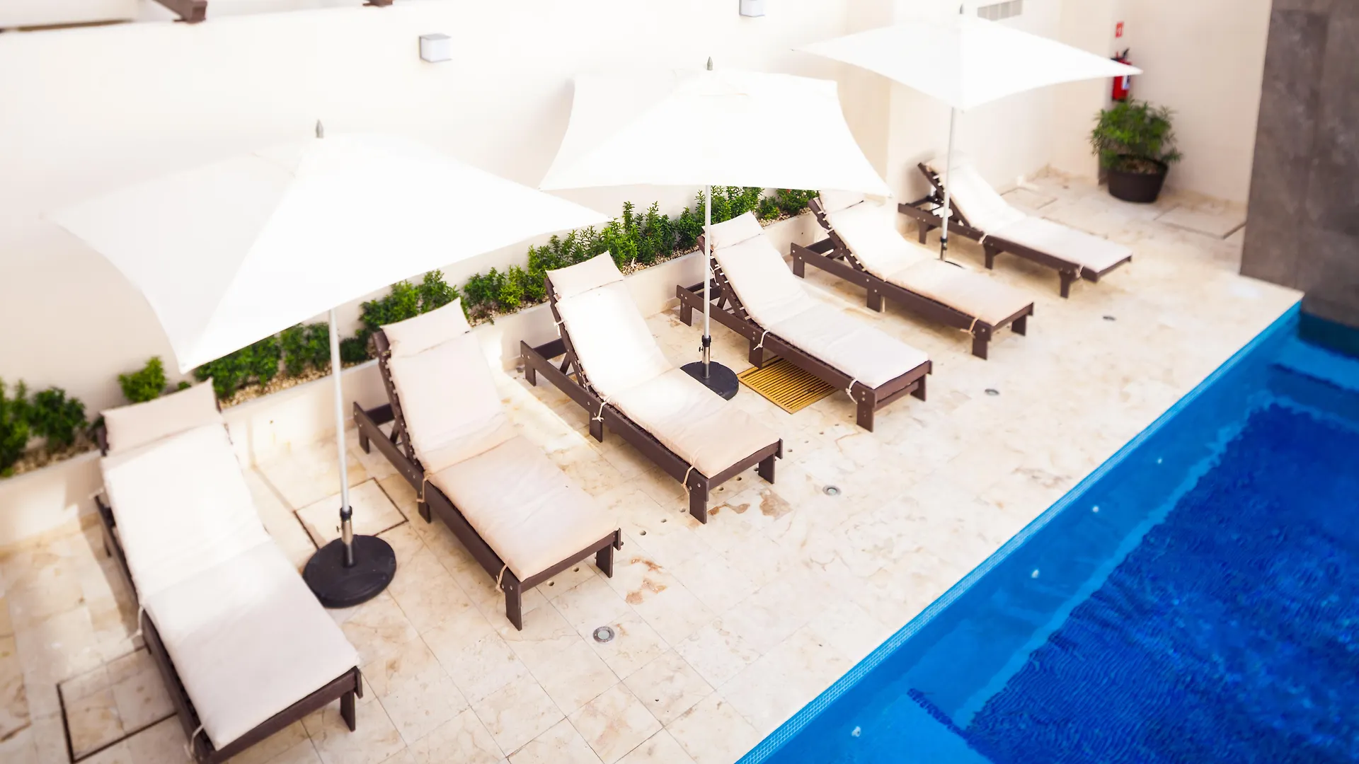 Aspira Hotel 신데 델 카르멘